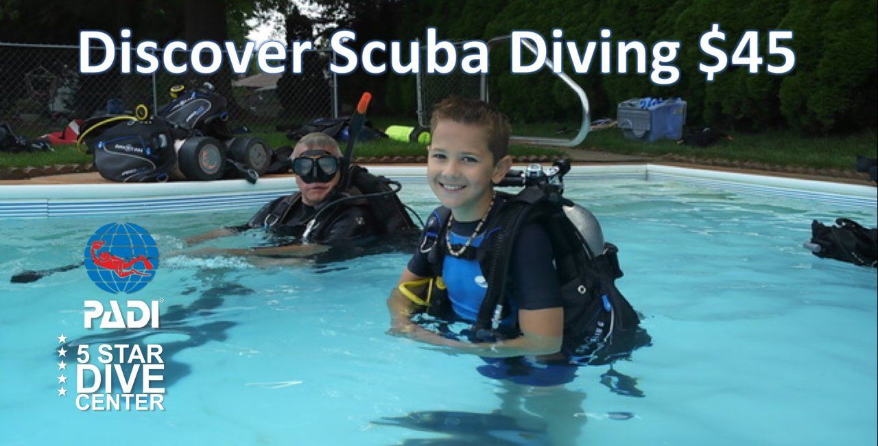 scuba diver