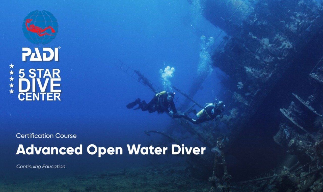 dive and find ships