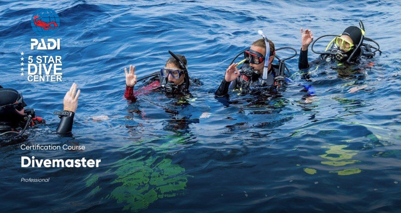 scuba divers