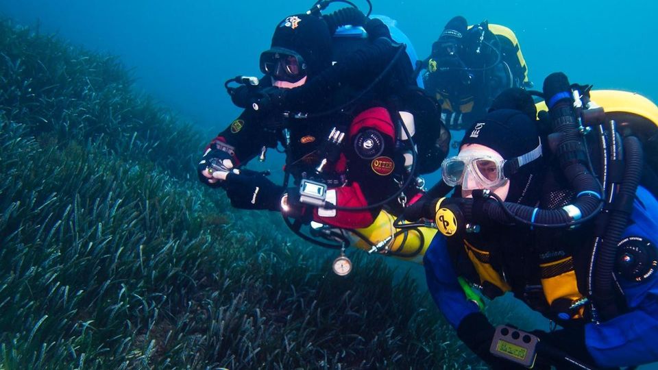 learn to dive