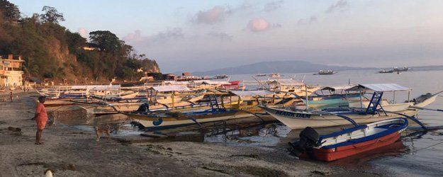boats