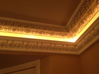 Expert illustrators and plasterers