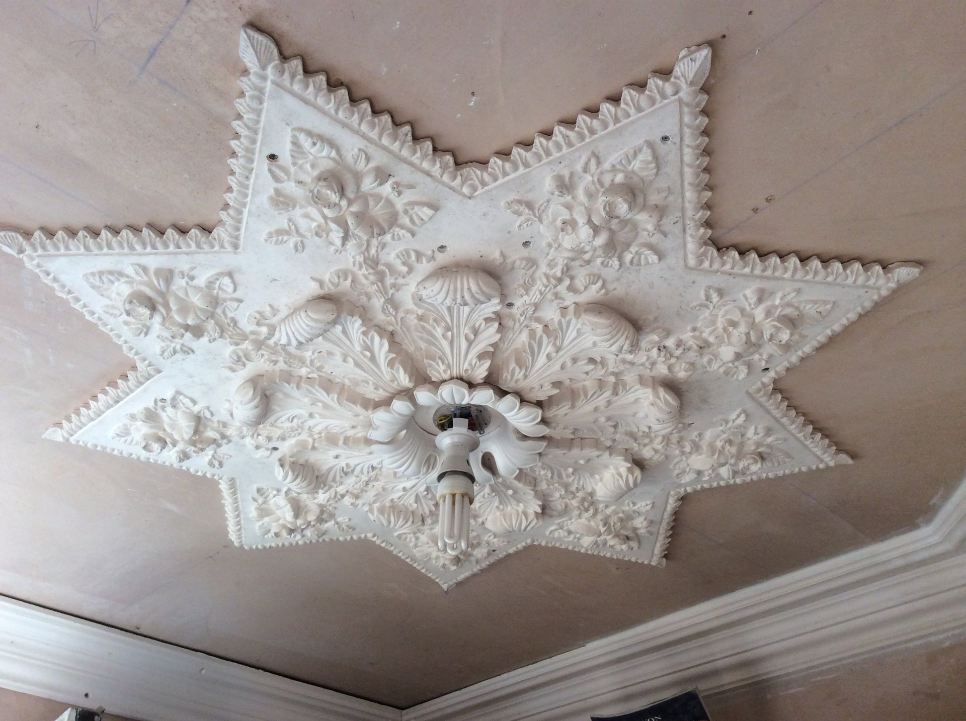 designer coving