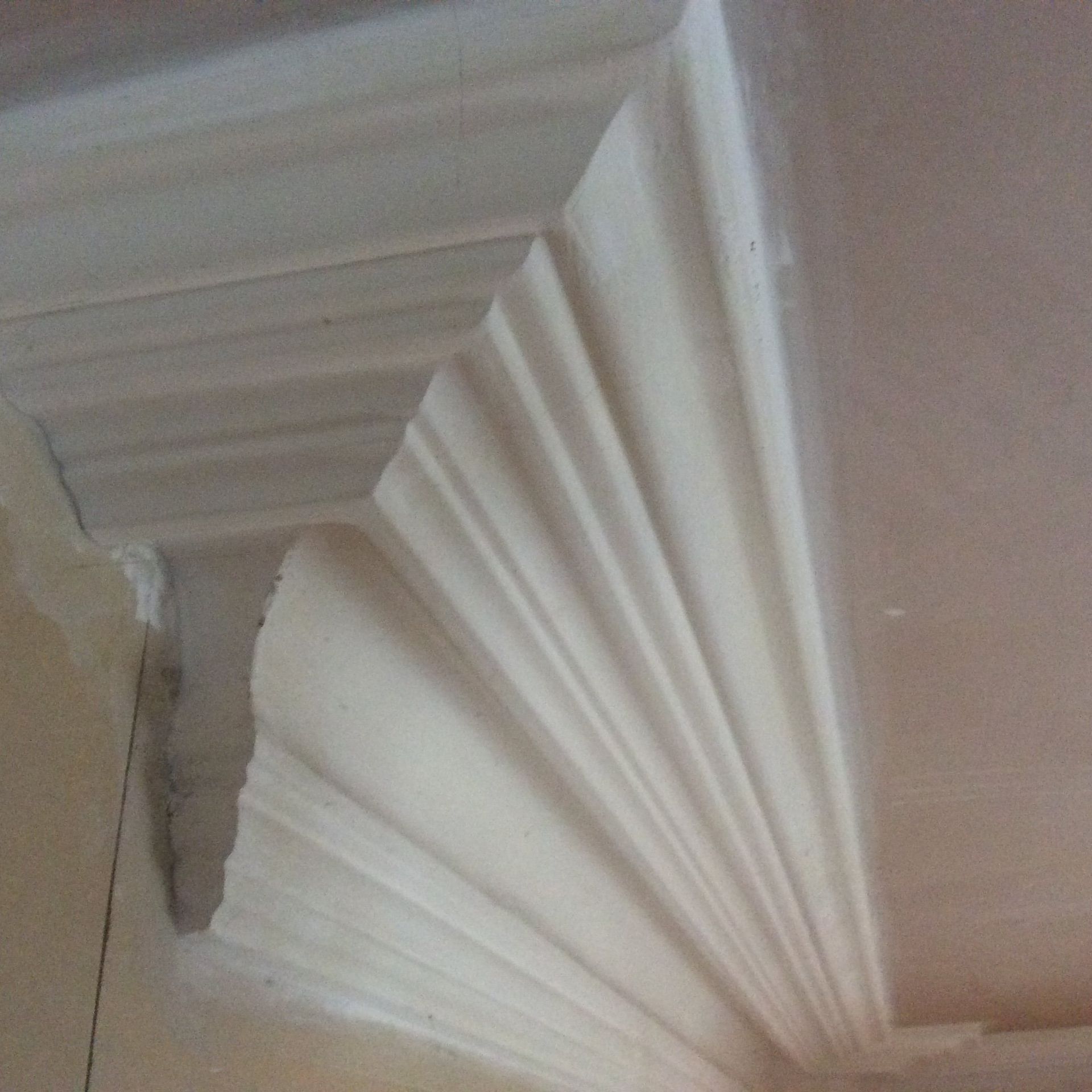 designer coving work