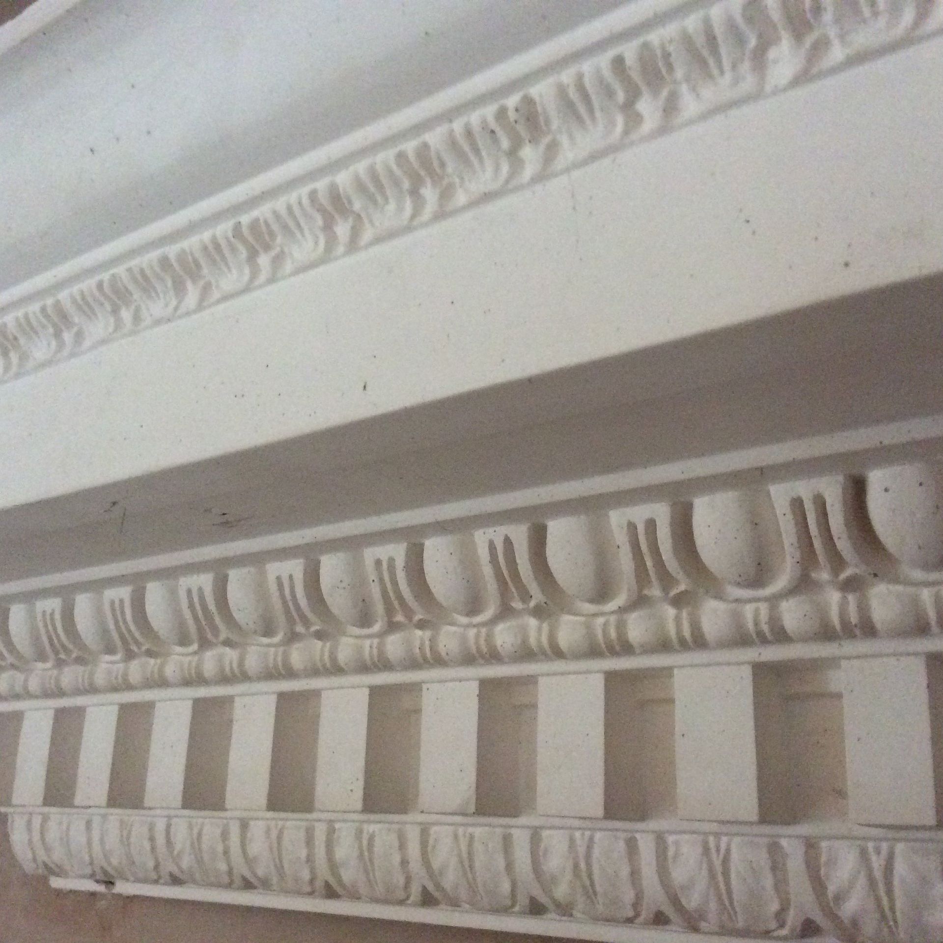 designer coving