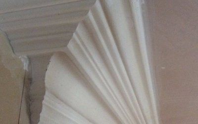 Contemporary coving