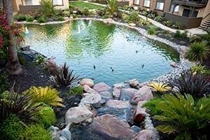 Decorative pond between buildings