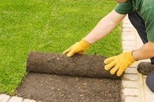Man laying sod