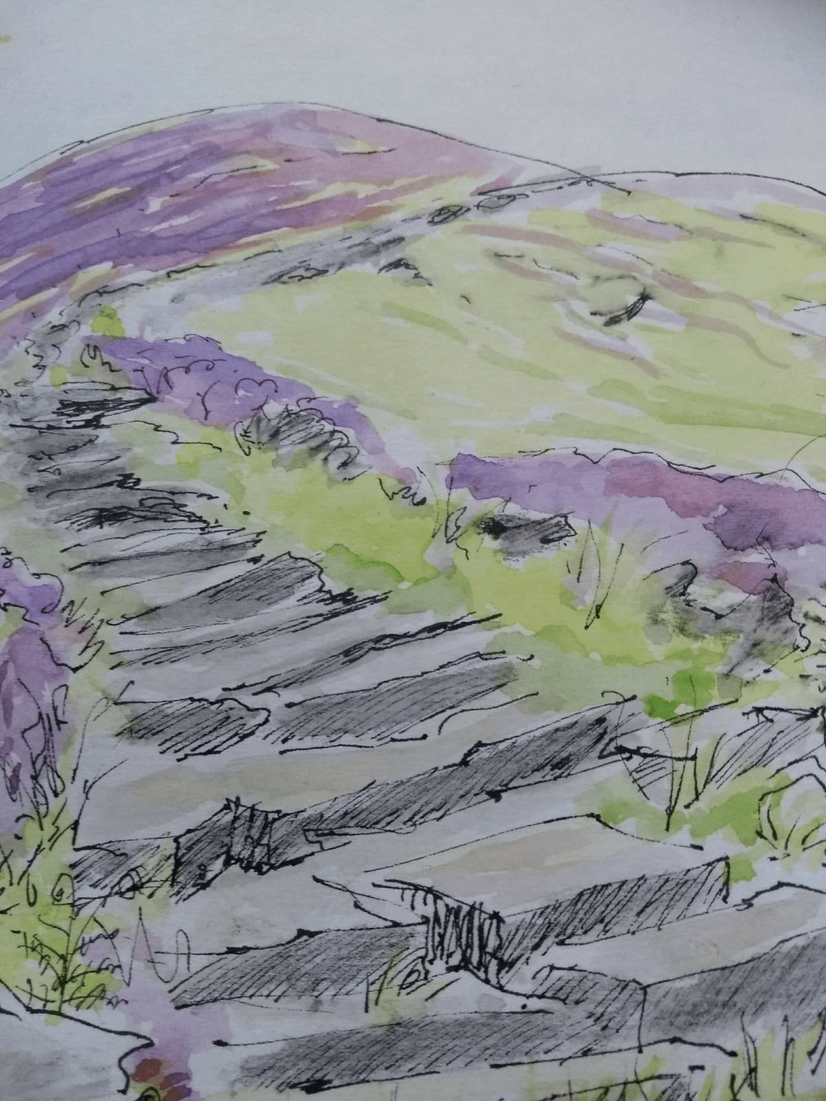 Explore Lifelong Learning 2021 - Art & Craft Studio Lockdown Exhibition - Adult Education