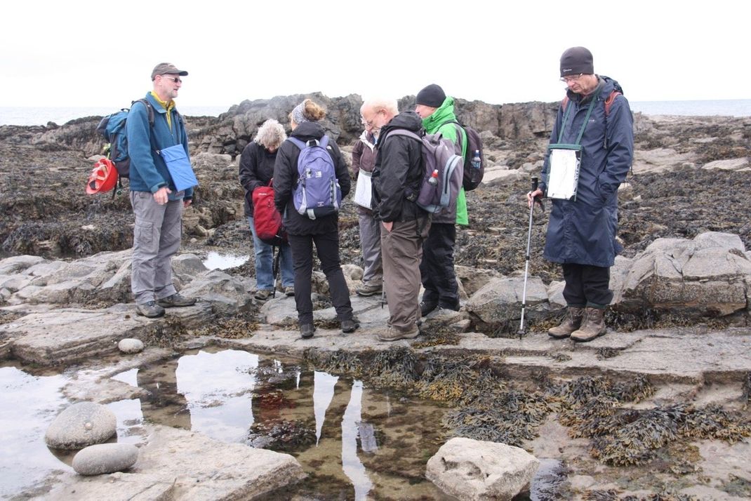 Explore lifelong learning 2016 Howick bay field trip with tutor Michael Leddra adult education