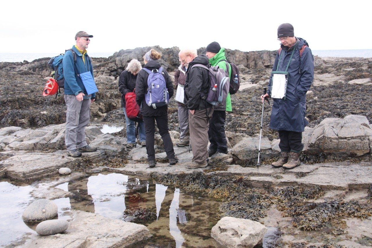 Explore lifelong learning 2016 Howick bay field trip adult education