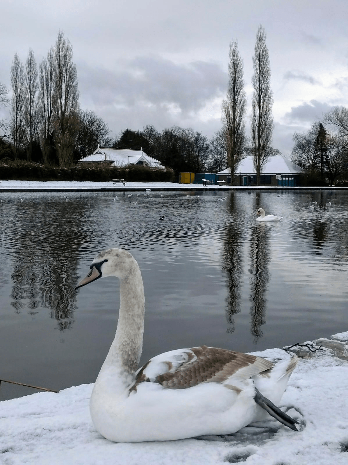 Explore Lifelong Learning 2021 - Art & Craft Studio Lockdown Exhibition - Adult Education
