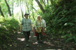 Explore lifelong learning 2017 walk adult education