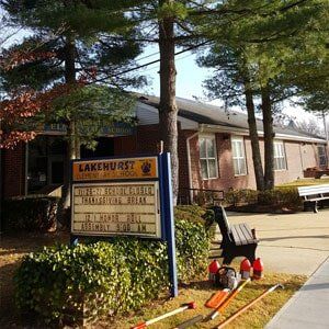 Tree in sidewalk - Tree Service in Toms River, NJ
