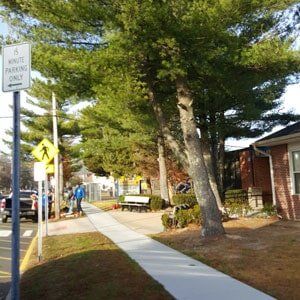 Tree in sidewalk 1 - Tree Service in Toms River, NJ