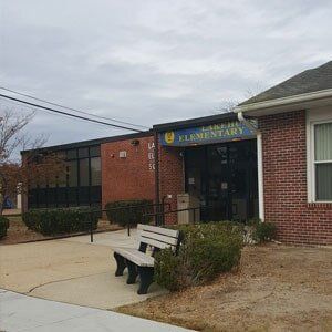 Trees in sidewalk 3 - Tree Service in Toms River, NJ