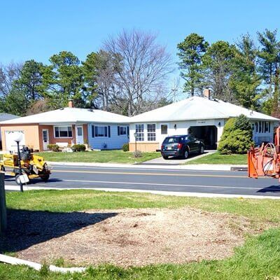 Houses — Tree Removal in Tom's River, NJ