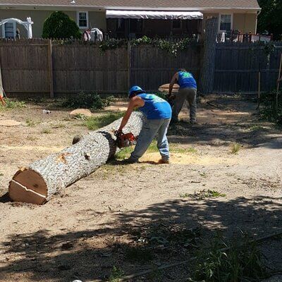 Man cutting tree log — Tree Removal in Tom's River, NJ