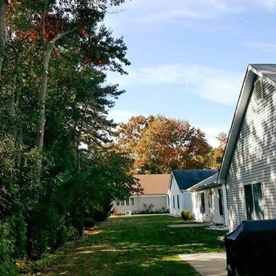 Trees in backyard — Tree Removal in Tom's River, NJ