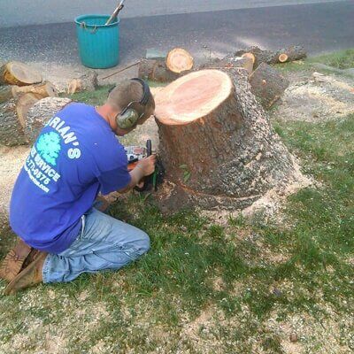 Tree cutting 1 — Tree Removal in Tom's River, NJ