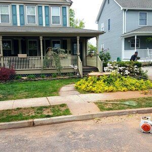 Garden - Tree Service in Toms River, NJ