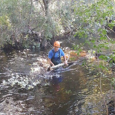 Man cutting tree - Tree Service in Toms River, NJ