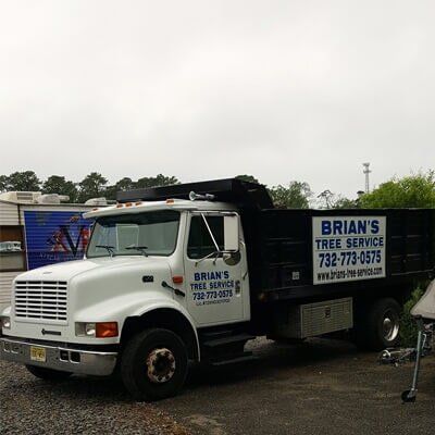 Truck 2- Tree Service in Toms River, NJ