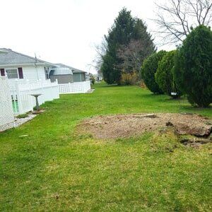 Trees in backyard - Tree Service in Toms River, NJ