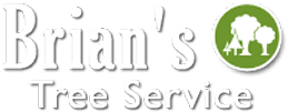 Brian's Tree Service