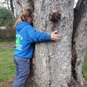 Big Tree 1 - Tree Service in Toms River, NJ