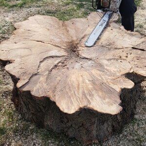 Logging - Tree Service in Toms River, NJ