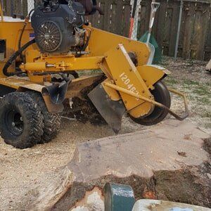 Tree grinding - Tree Service in Toms River, NJ