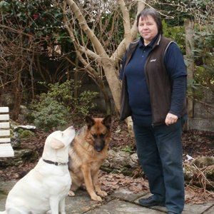 dog advisers