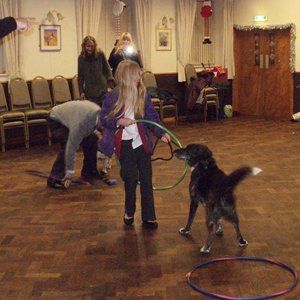 qualified dog trainers
