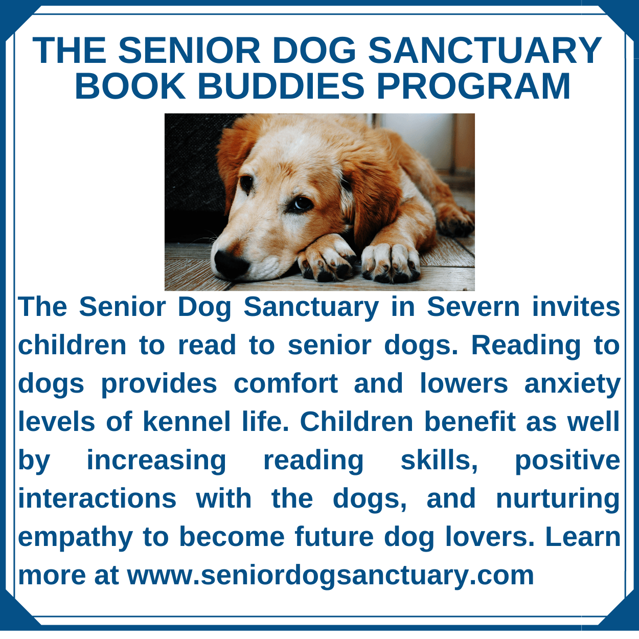 The Senior Dog Sanctuary