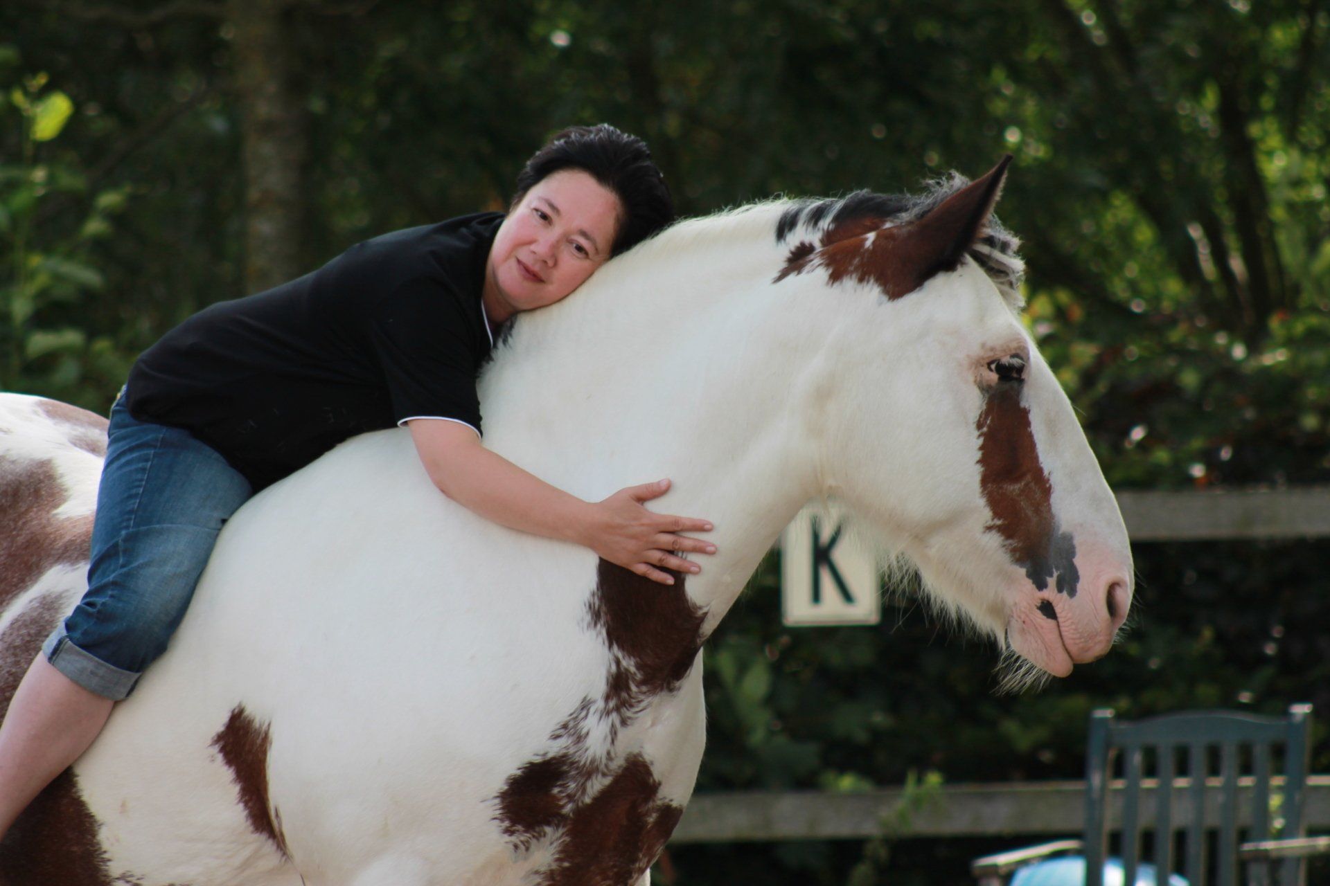 Vrouw die een bont paard met bruin-witte aftekeningen omarmt in een buitenomgeving.