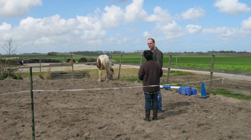 Twee mensen staan ​​met een paard in een onverharde buitenomheining. Het is een heldere, zonnige dag.
