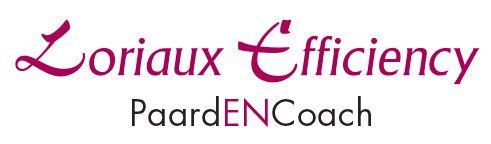 Logo: