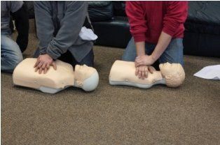 Two people practicing CPR on training mannequins on a carpeted floor