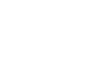 icon of carpet roll