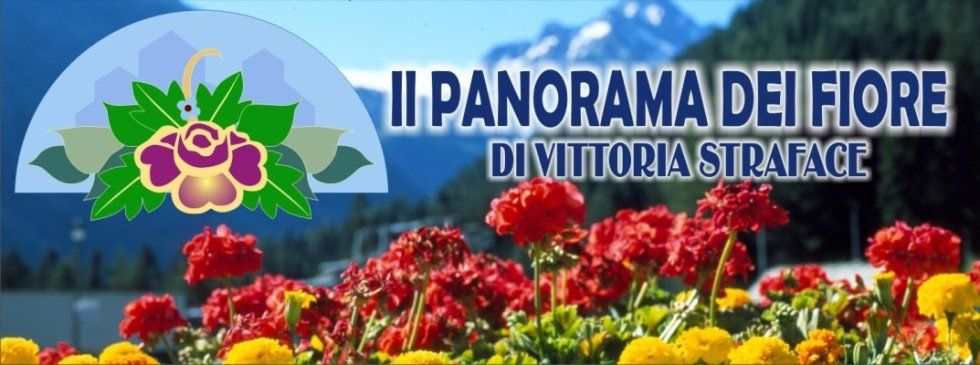 Il Panorama Dei Fiori