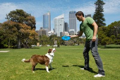 Man holding disc for dog—daily motel in Spokane, WA