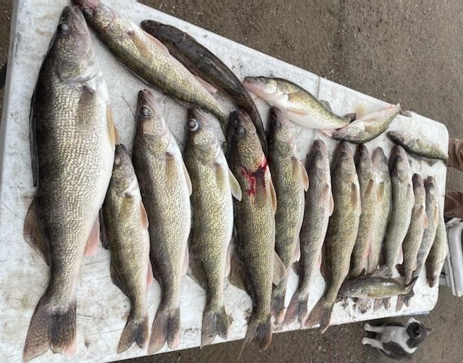 Missouri River Fishing Report