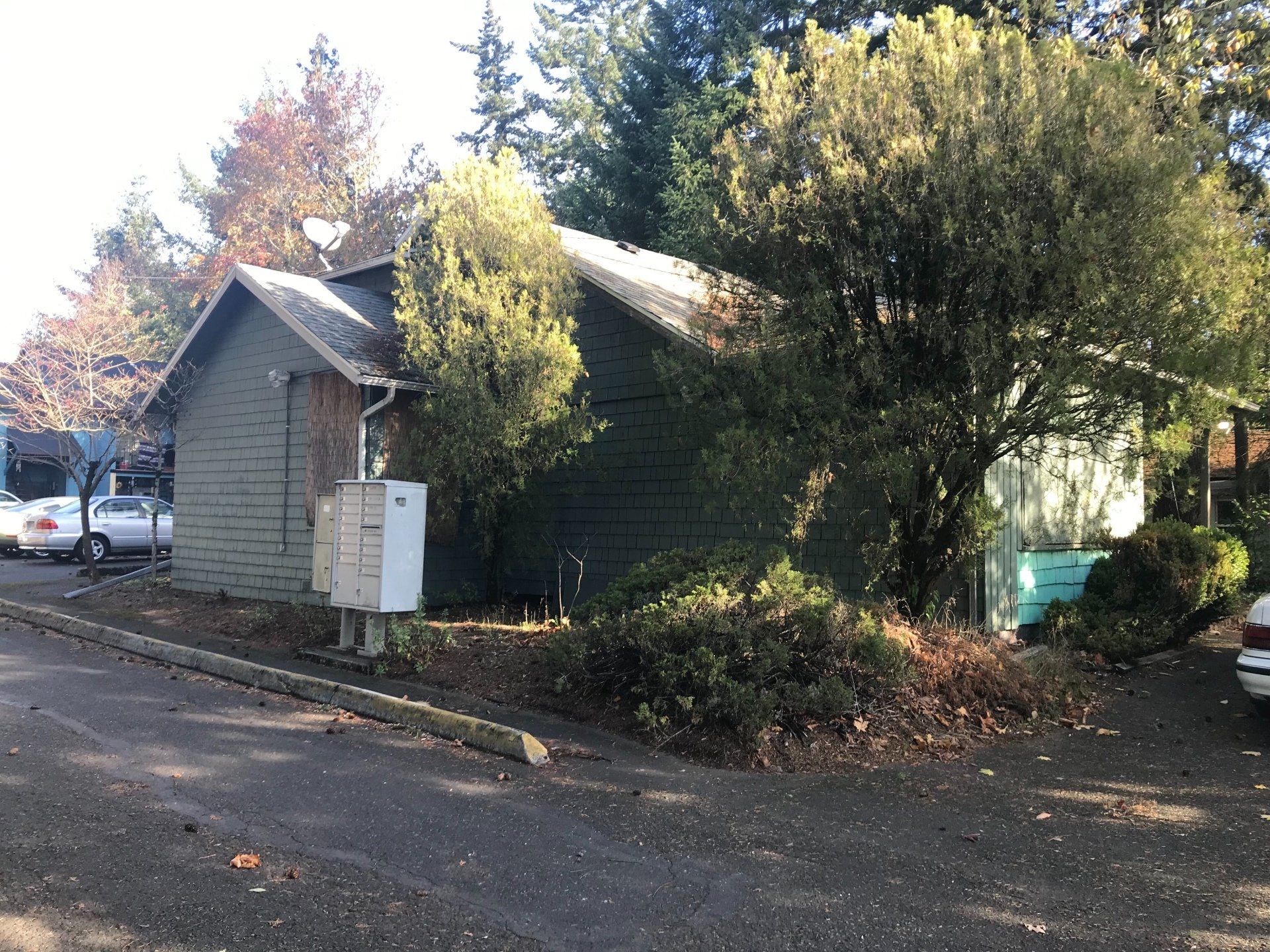 A small house is sitting on the side of a road surrounded by trees.