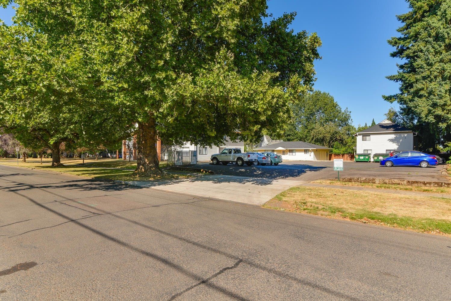 A row of cars are parked on the side of the road next to a tree.