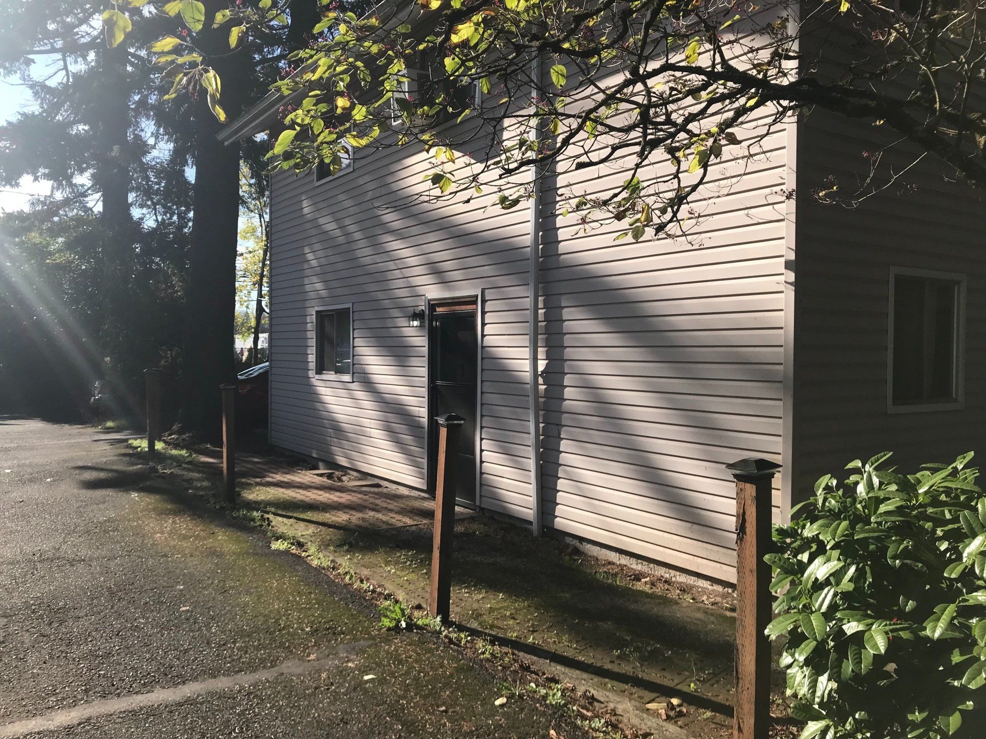The sun is shining through the trees on the side of a building