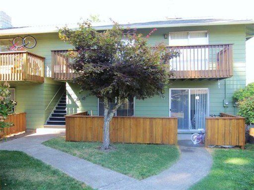 A green apartment building with a tree in front of it