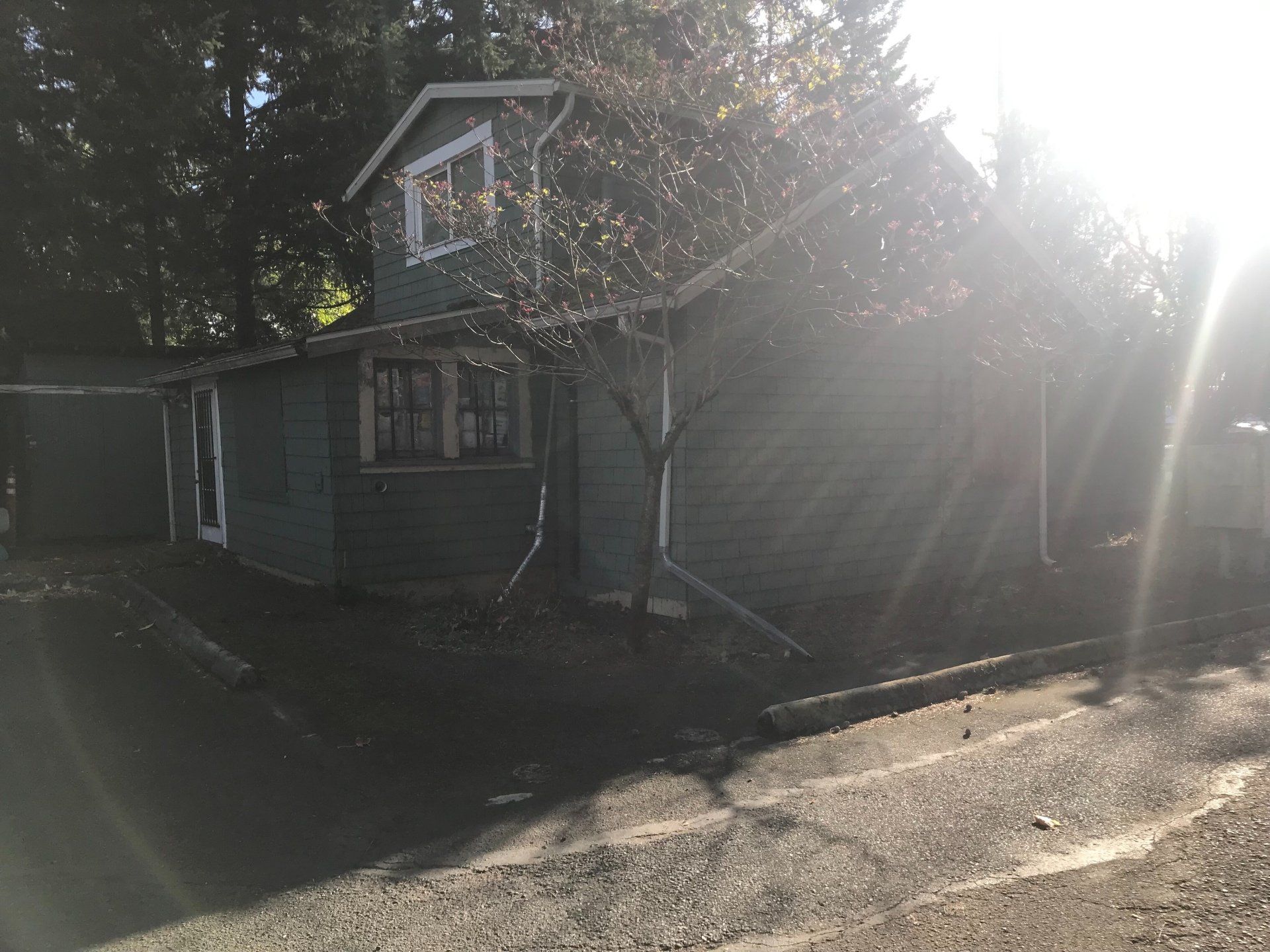 The sun is shining through the trees on the side of a house.
