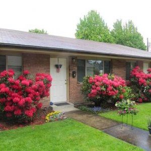 Forest Terrace