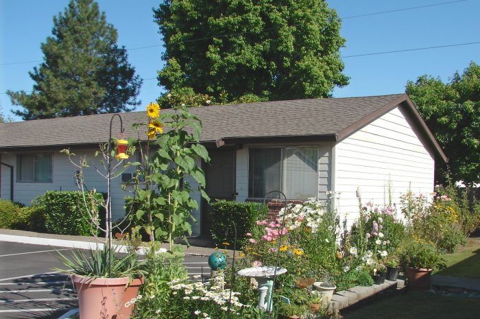 A white house with a brown roof is surrounded by potted plants and trees
